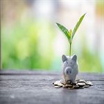 Investment Warning Signs and Red Flags